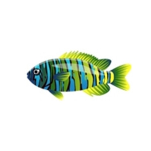 Striped Rebel Fish